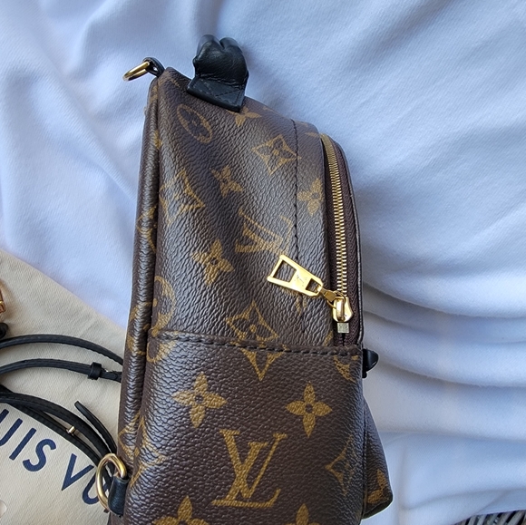 Louis Vuitton Palm Spring Mini Backpack - Picture 13 of 16